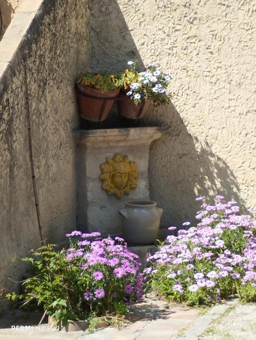 Maison De Campagne En Provence Barbentane Extérieur photo