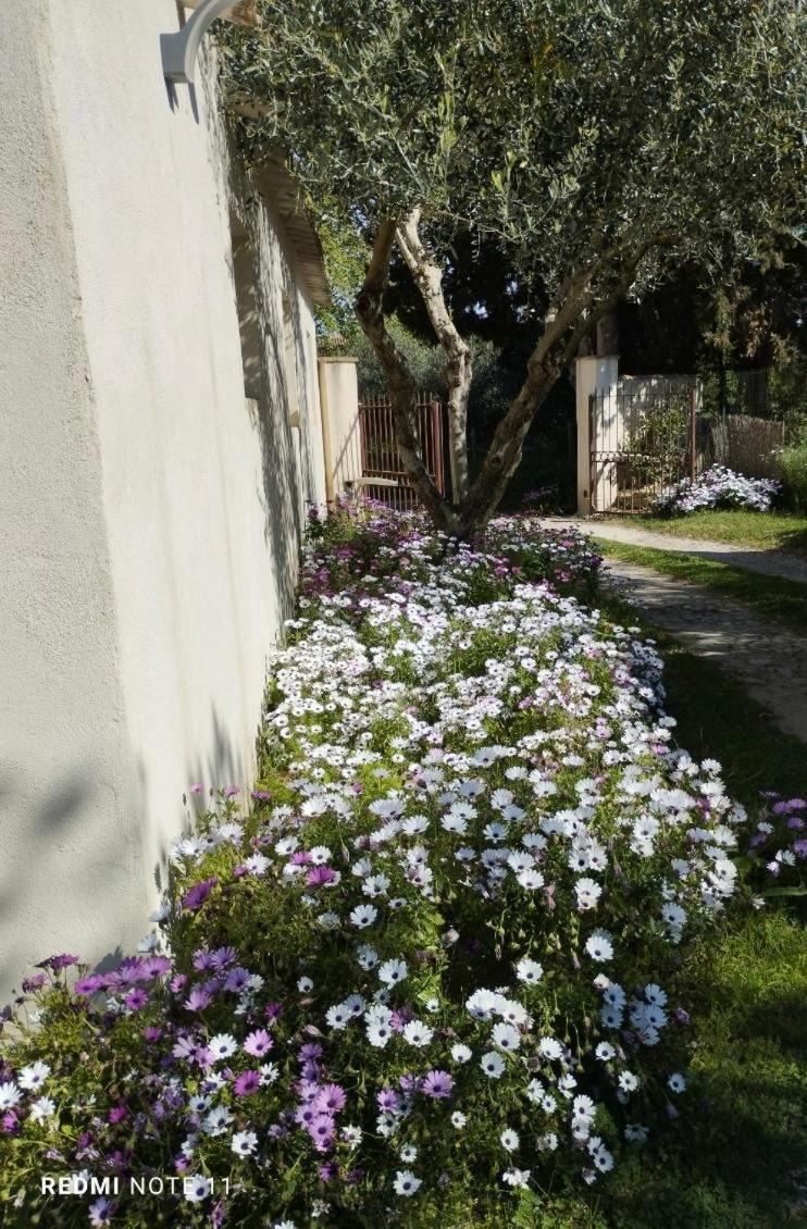 Maison De Campagne En Provence Barbentane Extérieur photo
